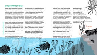 Пальмы на Северном полюсе. Большой рассказ об изменении климата 7