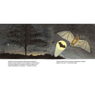 Удивительные летучие мыши 2