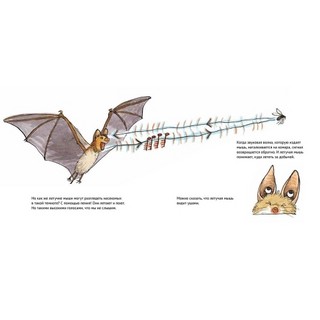 Удивительные летучие мыши 3