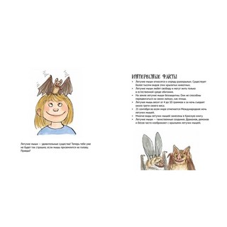 Удивительные летучие мыши 4