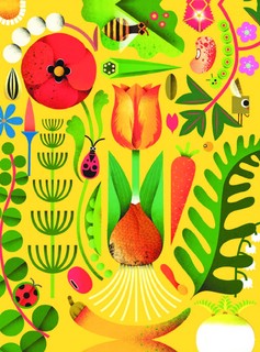 Солнечный свет на завтрак 10