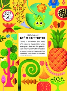 Солнечный свет на завтрак 11