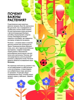 Солнечный свет на завтрак 12