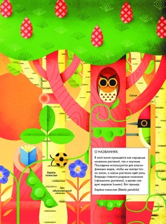 Солнечный свет на завтрак 13