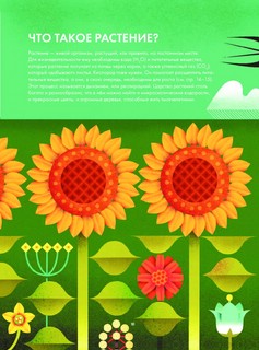 Солнечный свет на завтрак 14