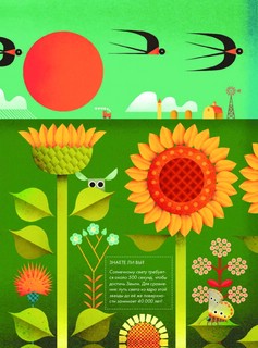 Солнечный свет на завтрак 15