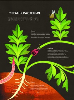 Солнечный свет на завтрак 16