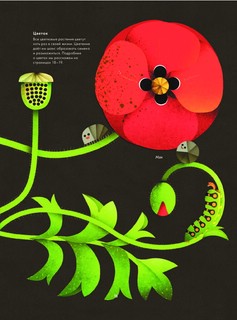 Солнечный свет на завтрак 17