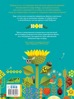 Солнечный свет на завтрак 18