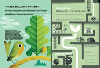 Солнечный свет на завтрак 3