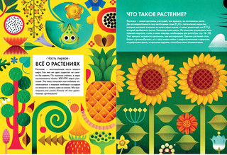 Солнечный свет на завтрак 4