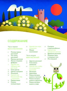 Солнечный свет на завтрак 8