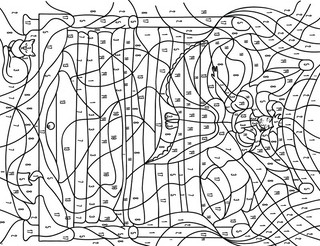 Большой альбом раскрасок по номерам и символам 5