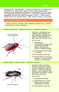 Насекомые России 9