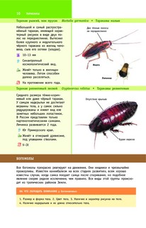 Насекомые России 10
