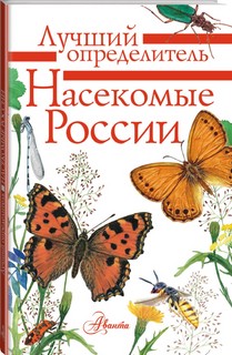 Насекомые России 12