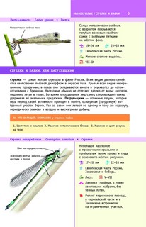 Насекомые России 5