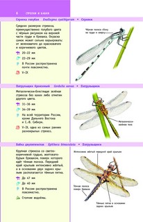 Насекомые России 6