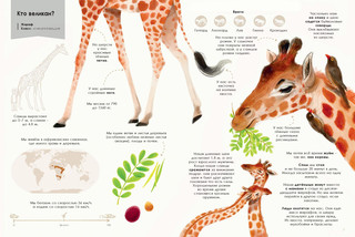 Животные-гиганты 3