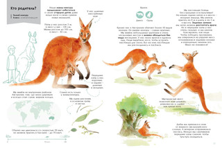 Лучшие родители 2