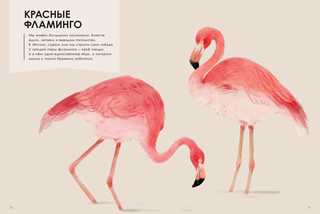 Лучшие родители 3