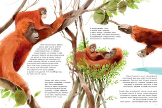 Лучшие родители 4