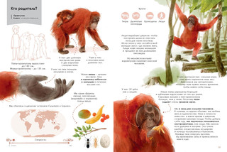 Лучшие родители 5