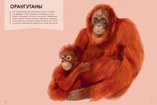 Лучшие родители 6