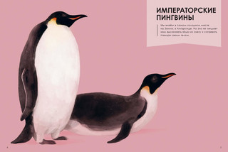 Лучшие родители 8