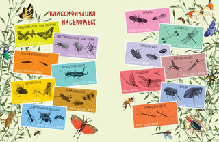 Такие незнакомые эти насекомые 2