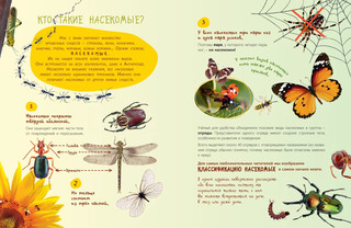 Такие незнакомые эти насекомые 3