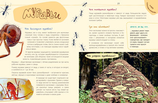 Такие незнакомые эти насекомые 6