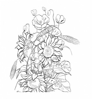 Прекрасные цветы 2