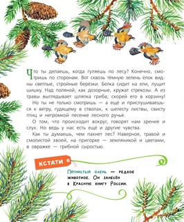 Почемучкины сказки о животных 11