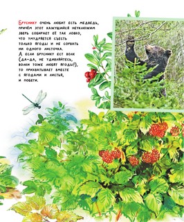 Почемучкины сказки о животных 14