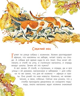 Почемучкины сказки о животных 15