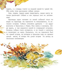 Почемучкины сказки о животных 16