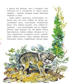 Почемучкины сказки о животных 17