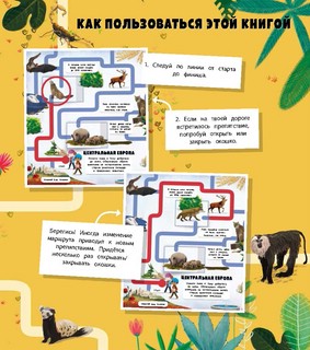 Вокруг света. Лабиринты с окошками 4