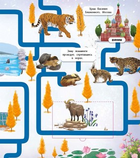 Вокруг света. Лабиринты с окошками 6