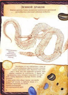 Драконы 7