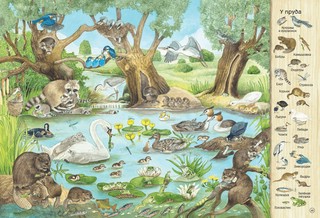 Большая книга времен года 8