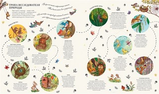 Круглый год в лесу. Виммельбух 6