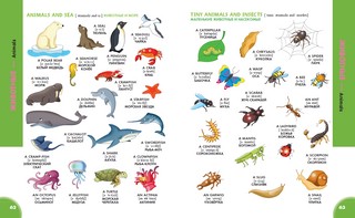 Моя первая 1000 английских слов 6