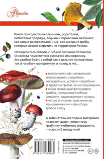 Грибы России. Лучший определитель 2