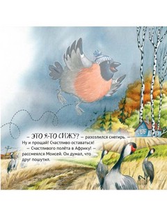 Приключения снегиря в Африке 4