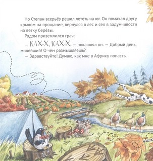 Приключения снегиря в Африке 6