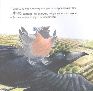 Приключения снегиря в Африке 7