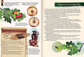 Кто где живёт? Звери и птицы леса 2