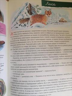 Кто где живёт? Звери и птицы леса 7